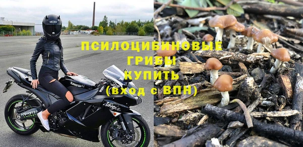 бошки Абаза