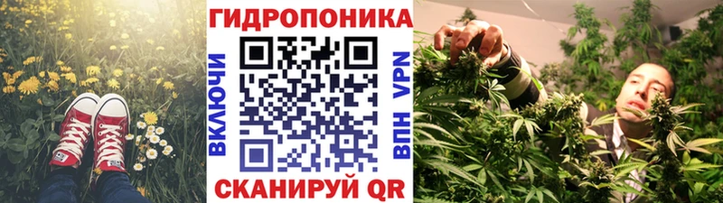 Канабис OG Kush Нижняя Салда